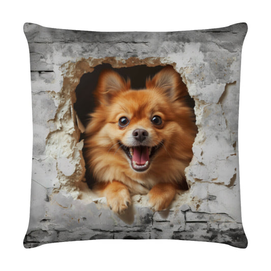 Kissen "Kleinspitz - Look" Weiß – hunde-shirt.de