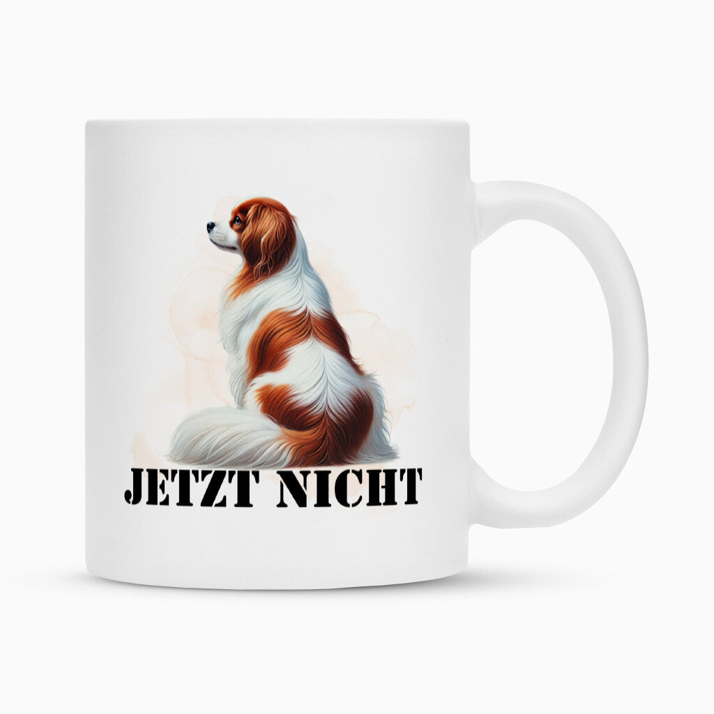 Tasse "Kooikerhondje - JETZT NICHT" Weiß – hunde-shirt.de