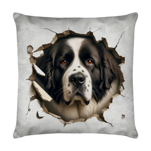 Kissen "Landseer - Look" Weiß – hunde-shirt.de