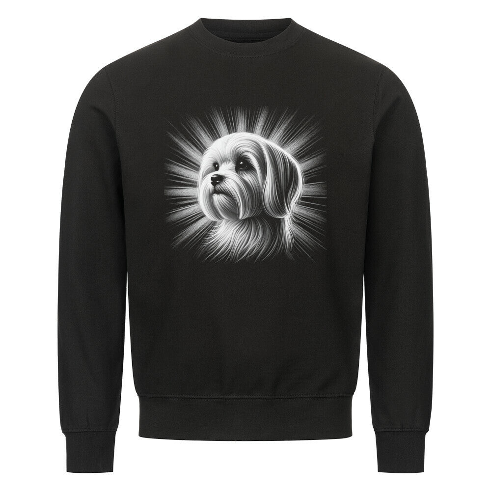 Premium Sweatshirt "Malteser - Shine" Schwarz – hunde-shirt.de