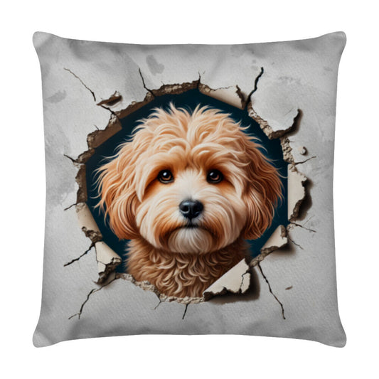 Kissen "Maltipoo - Look" Weiß – hunde-shirt.de