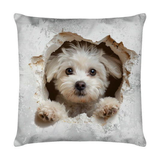Kissen "Maltipoo - Look II" Weiß – hunde-shirt.de