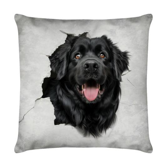 Kissen "Neufundländer - Look II" Weiß – hunde-shirt.de