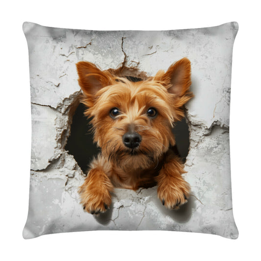 Kissen "Norwich Terrier - Look" Weiß – hunde-shirt.de