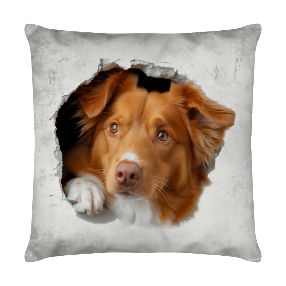 Kissen "Nova Scotia - Look" Weiß – hunde-shirt.de