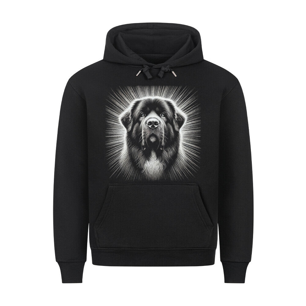 Premium Hoodie "Owtscharka - Shine" Schwarz – hunde-shirt.de