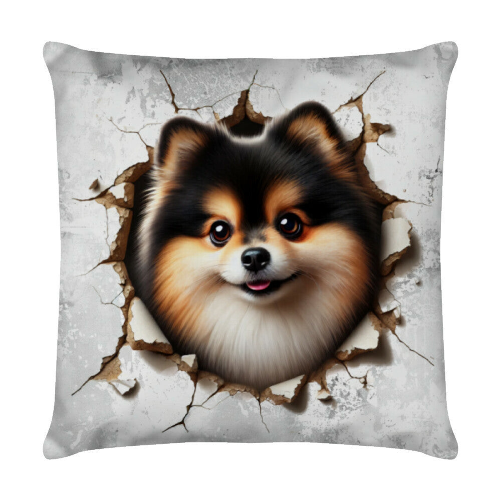 Kissen "Pomeranian tri - Look" Weiß – hunde-shirt.de