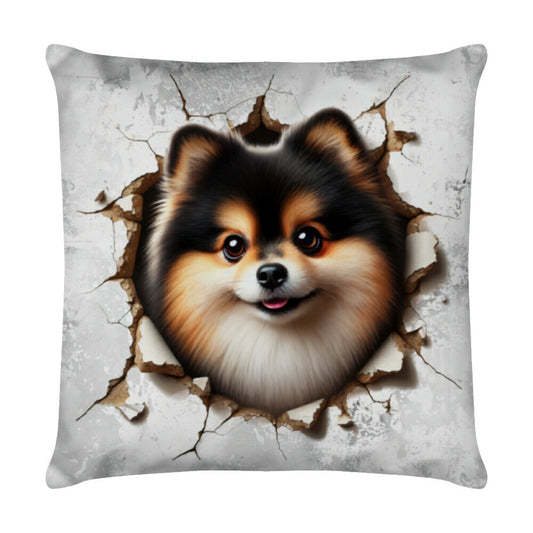 Kissen "Pomeranian tri - Look" Weiß – hunde-shirt.de