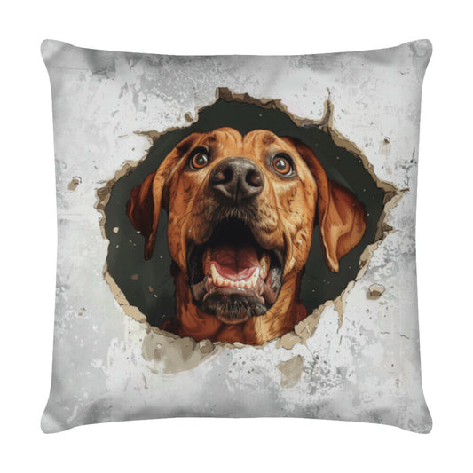 Kissen "Rhodesian Ridgeback - Look" Weiß – hunde-shirt.de