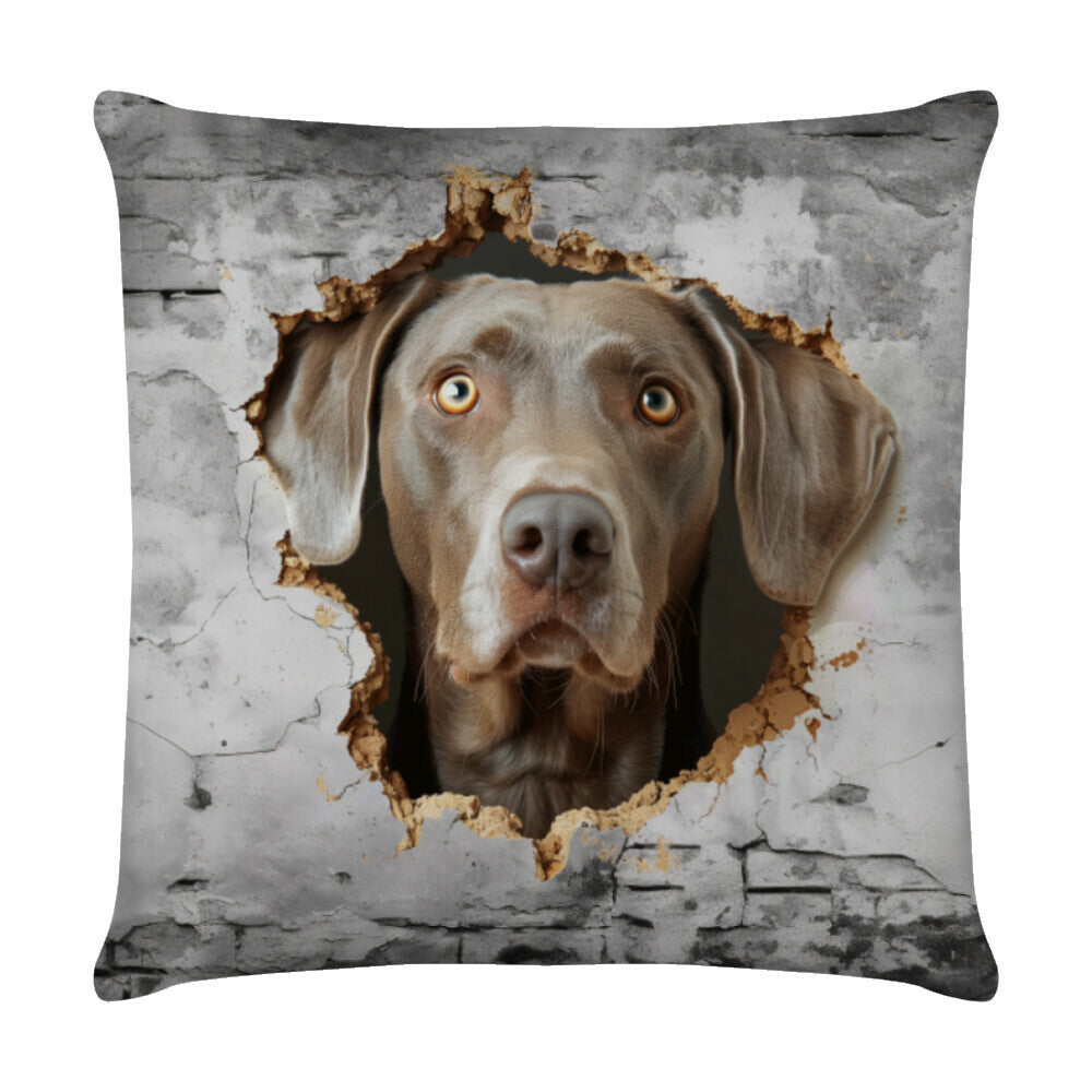 Kissen "Weimaraner - Wall" Weiß – hunde-shirt.de