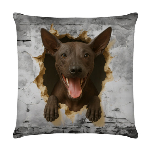 Kissen "Xoloitzcuintle - Wall" Weiß – hunde-shirt.de