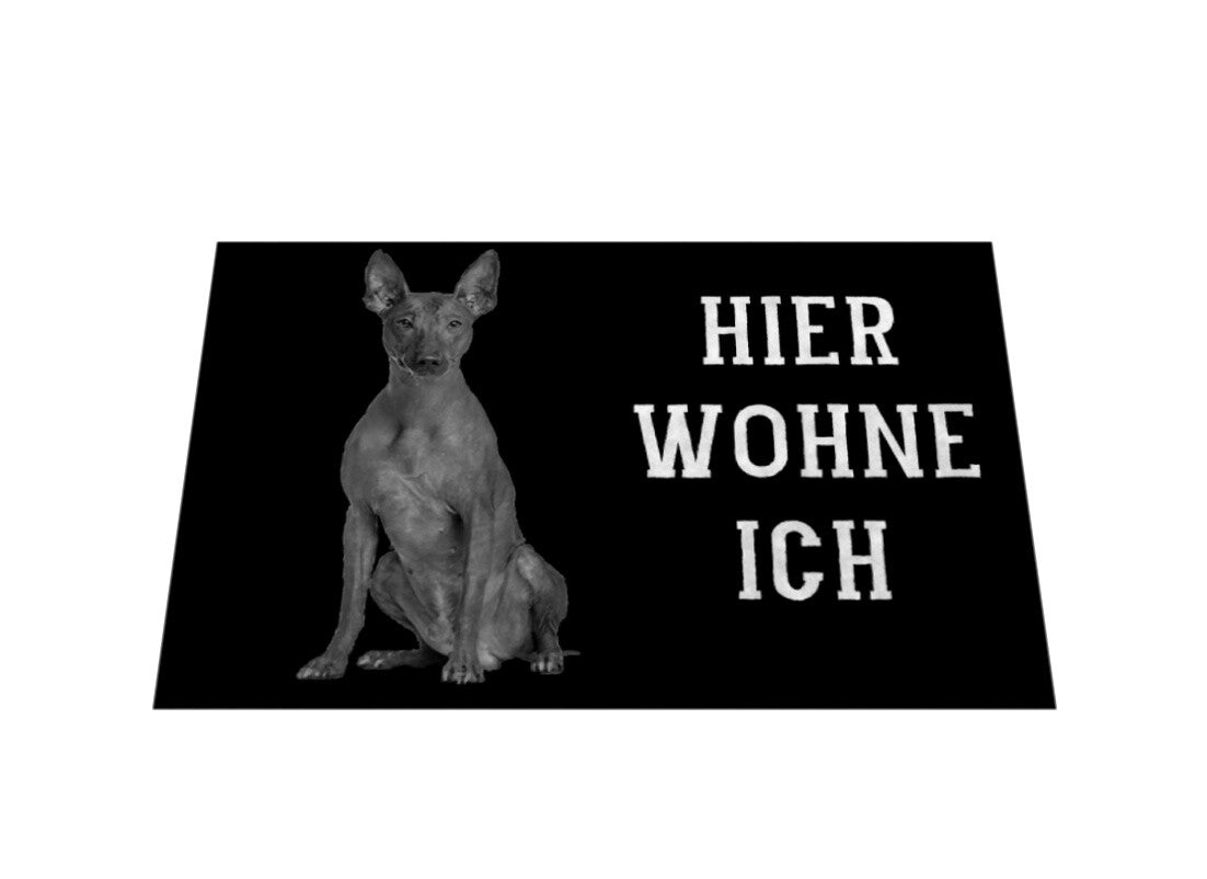 Fußmatte "Xoloitzcuintle - Hier wohne Ich" – hunde-shirt.de