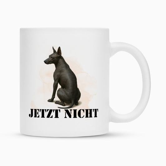 Tasse "Xolo - JETZT NICHT" Weiß – hunde-shirt.de