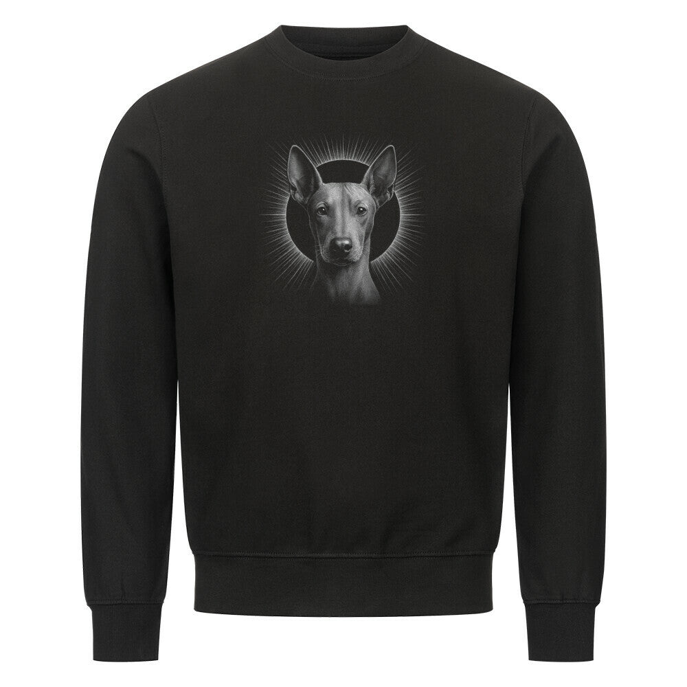 Premium Sweatshirt "Xolo - Shine" Schwarz – hunde-shirt.de