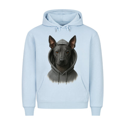 Premium Hoodie "Xolo - Hooded" Babyblau – hunde-shirt.de