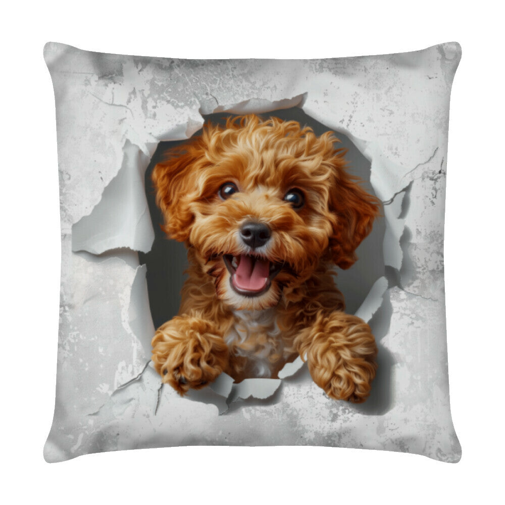 Kissen "Toypudel - Look" Weiß – hunde-shirt.de
