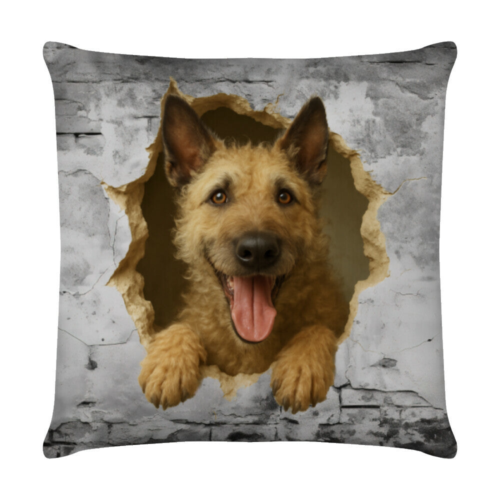 Kissen "Laekenois - Wall" Weiß – hunde-shirt.de