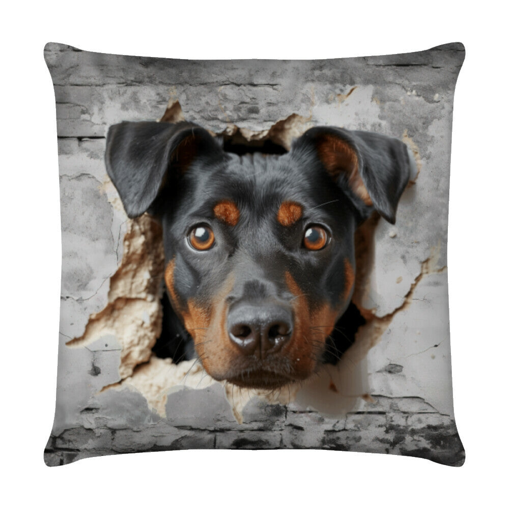 Kissen "Deutscher Pinscher - Wall" Weiß – hunde-shirt.de