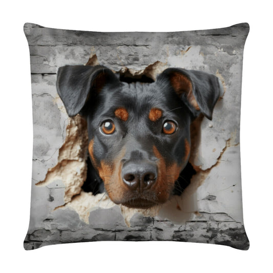 Kissen "Deutscher Pinscher - Wall" Weiß – hunde-shirt.de