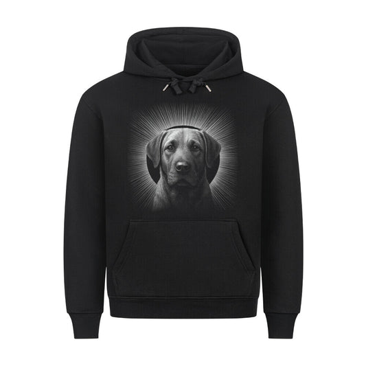 Premium Hoodie "Broholmer - Shine" Schwarz – hunde-shirt.de