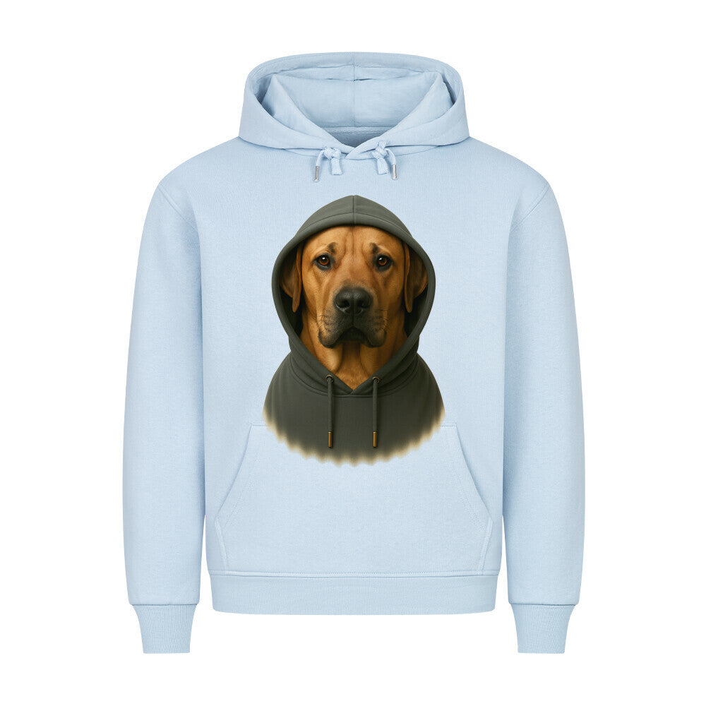 Premium Hoodie "Broholmer - Hooded" Babyblau – hunde-shirt.de