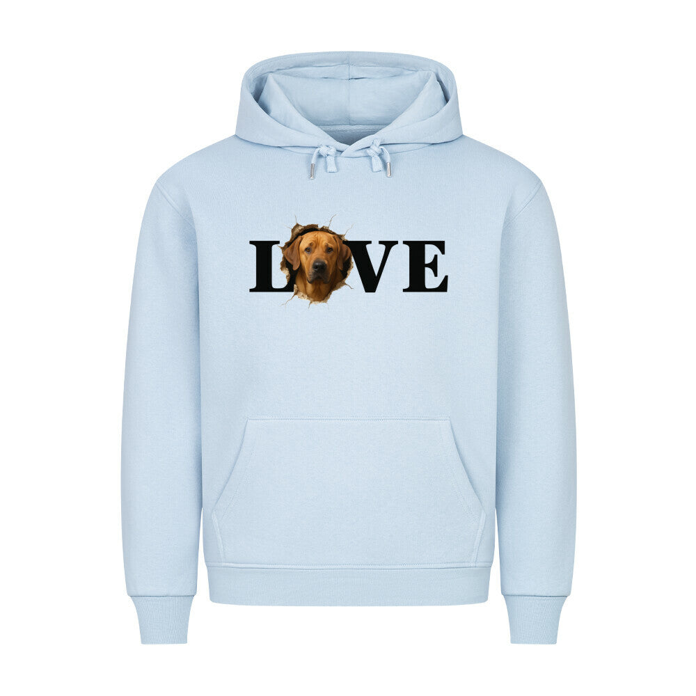 Premium Hoodie "Broholmer - LOVE" Babyblau – hunde-shirt.de