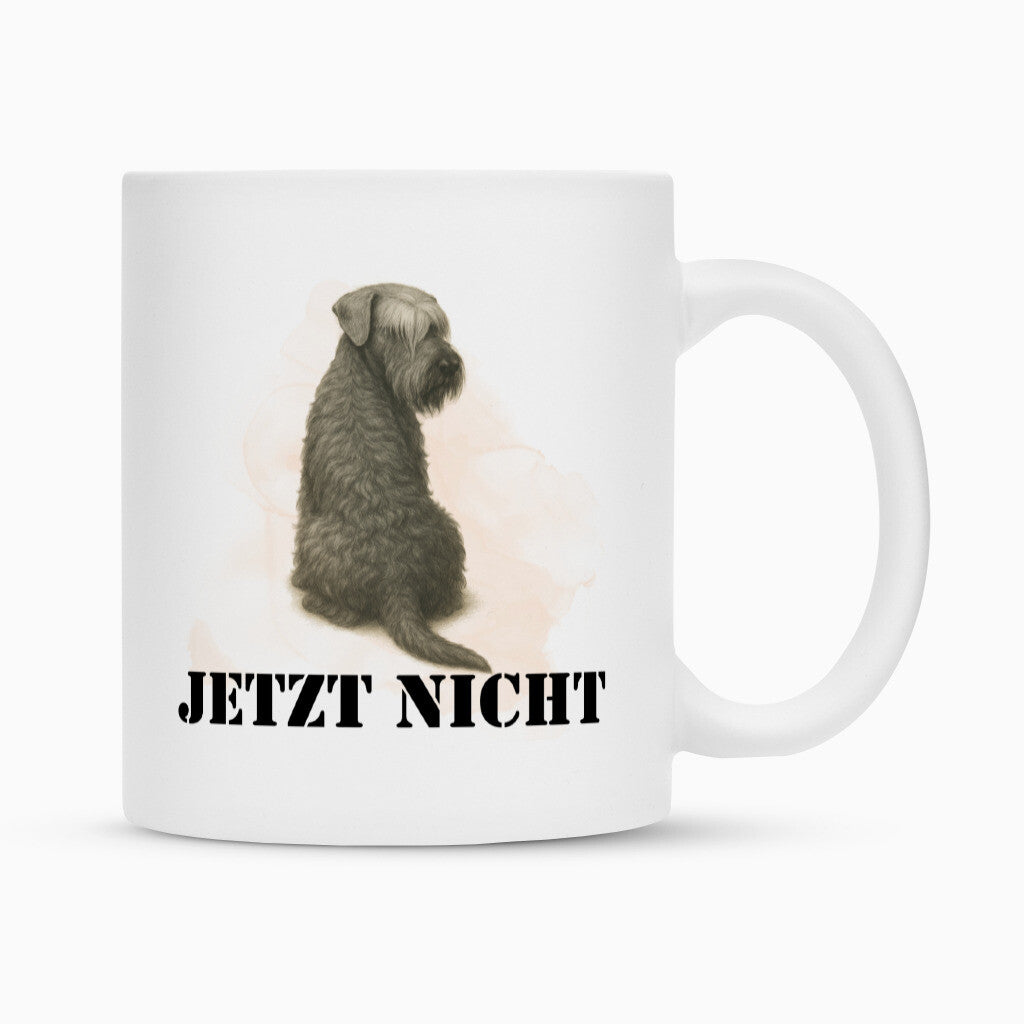 Tasse "Cesky Terrier - JETZT NICHT" Weiß – hunde-shirt.de
