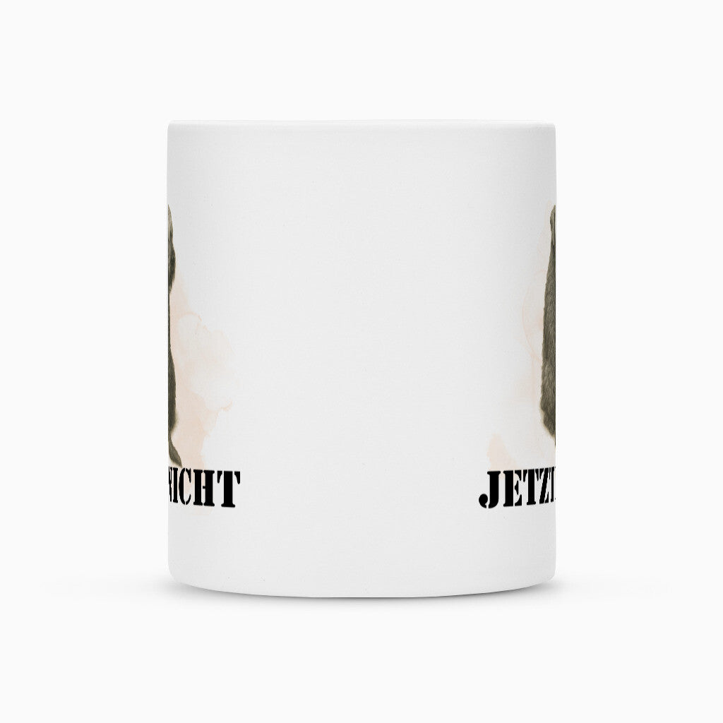 Tasse "Cesky Terrier - JETZT NICHT" – hunde-shirt.de
