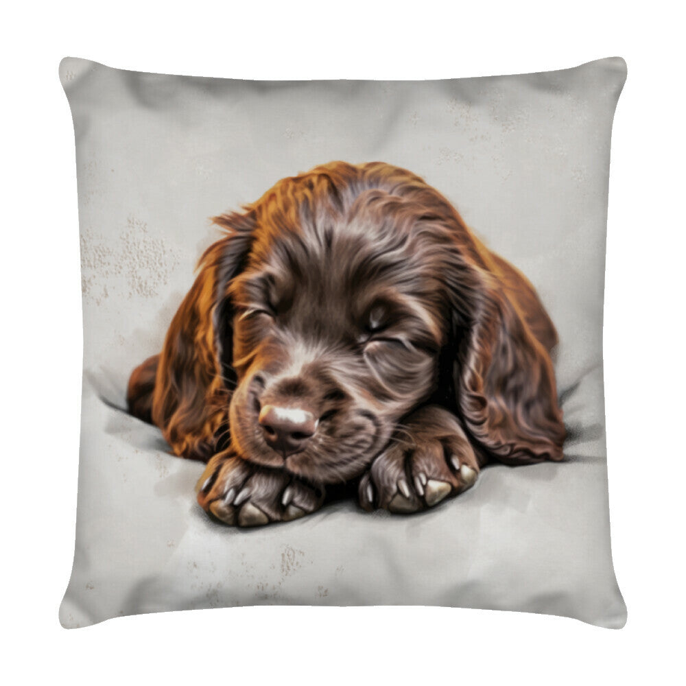 Kissen "Boykin Spaniel - Sweet Dreams" Weiß – hunde-shirt.de
