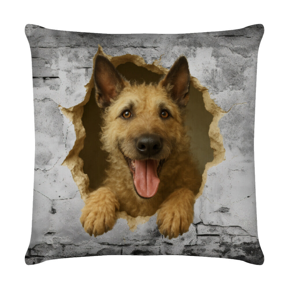 Kissen "Laekenois - Wall" Weiß – hunde-shirt.de