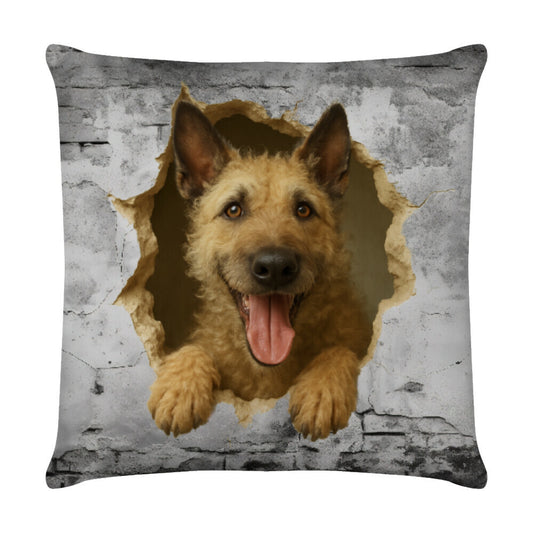 Kissen "Laekenois - Wall" Weiß – hunde-shirt.de