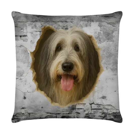 Kissen "Bearded Collie - Wall" Weiß – hunde-shirt.de
