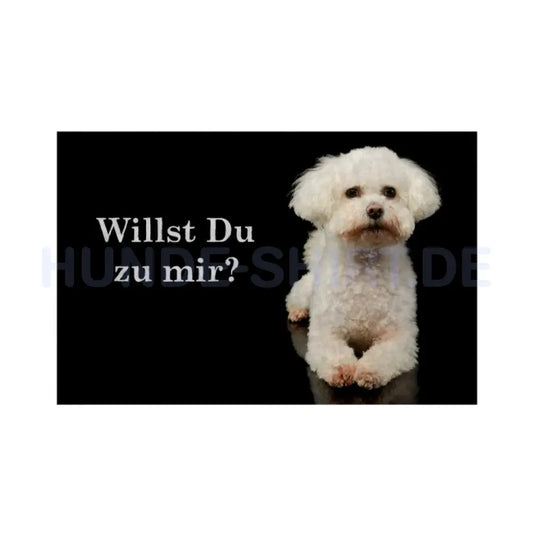 Fußmatte "Bologneser - Willst Du zu mir?" Weiß – hunde-shirt.de