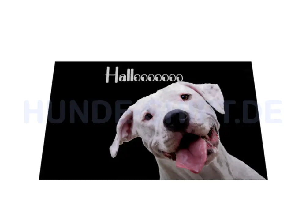 Fußmatte "Dogo Argentino 2" – hunde-shirt.de