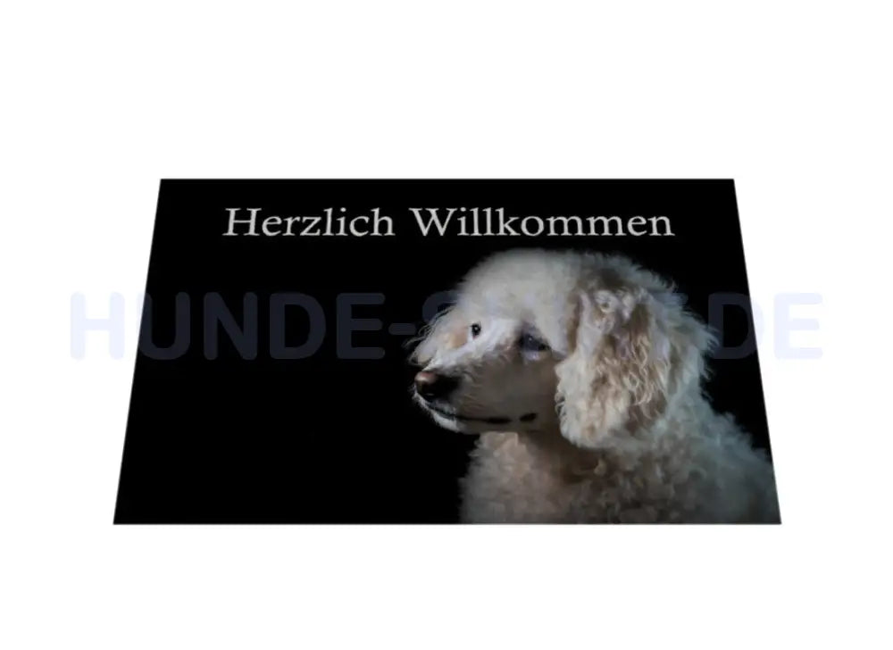 Fußmatte "Pudel weiß" – hunde-shirt.de