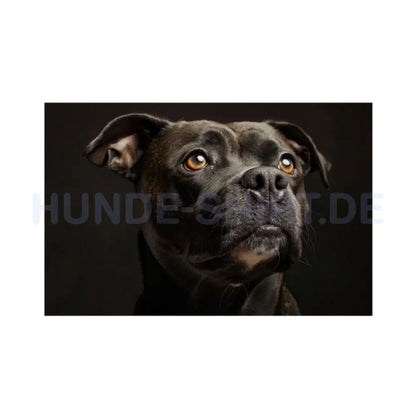 Fußmatte "Staffordshire Bull Terrier - Portrait" Weiß – hunde-shirt.de