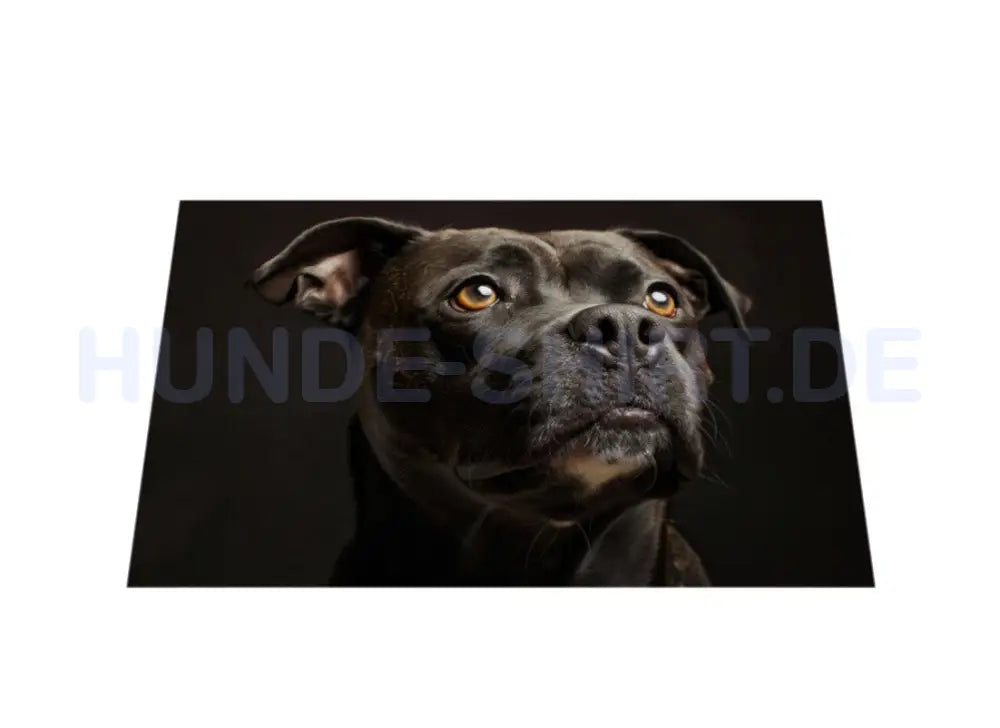 Fußmatte "Staffordshire Bull Terrier - Portrait" – hunde-shirt.de