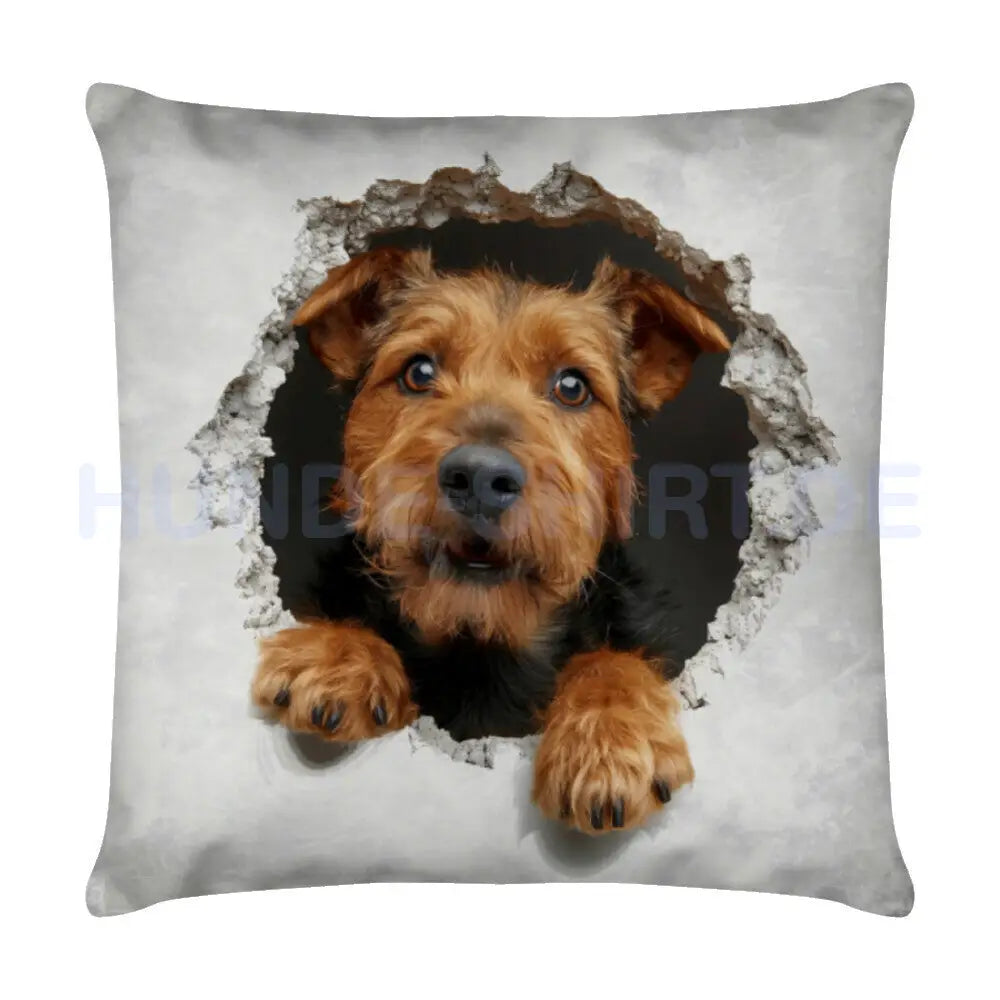 Kissen "Airedale Terrier - Look" Weiß – hunde-shirt.de