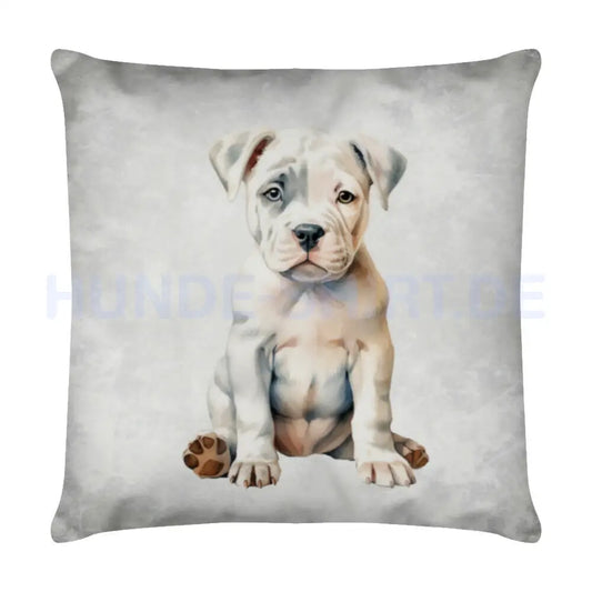 Kissen "American Bulldog - Puppy" Weiß – hunde-shirt.de