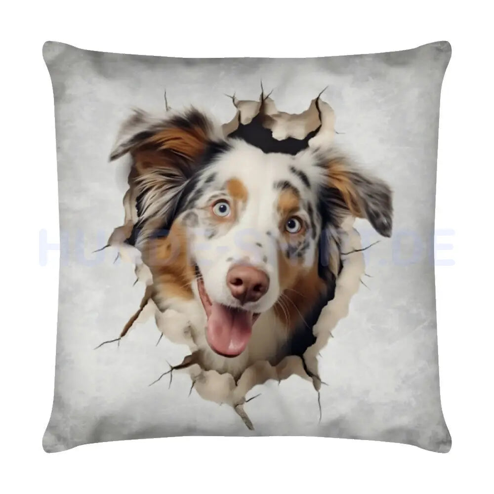 Kissen "Australian Shepherd - Look" Weiß – hunde-shirt.de