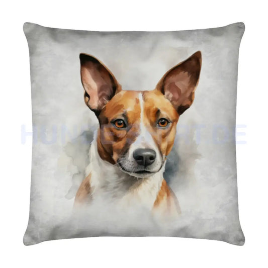 Kissen "Basenji - Blick" Weiß – hunde-shirt.de