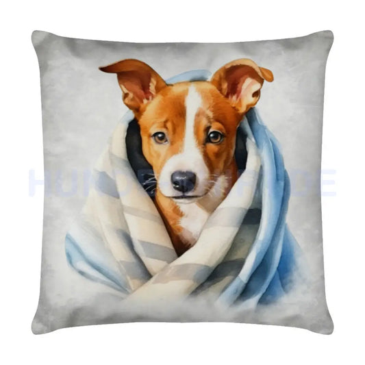 Kissen "Basenji - Kuscheln" Weiß – hunde-shirt.de