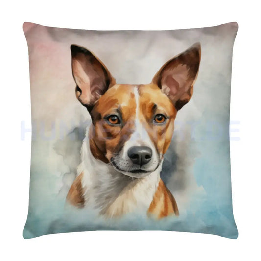 Kissen "Basenji Portrait" Weiß – hunde-shirt.de