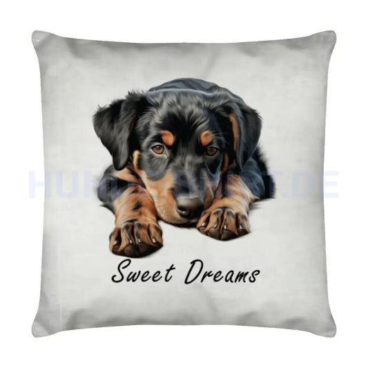 Kissen "Beauceron - Sweet Dreams" Weiß – hunde-shirt.de