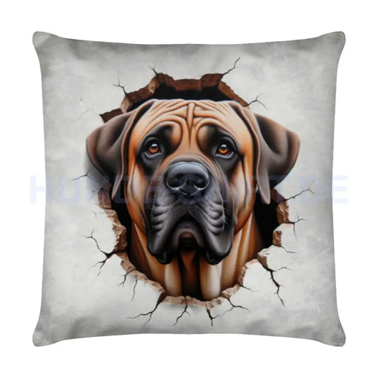 Kissen "Boerboel - Look" Weiß – hunde-shirt.de