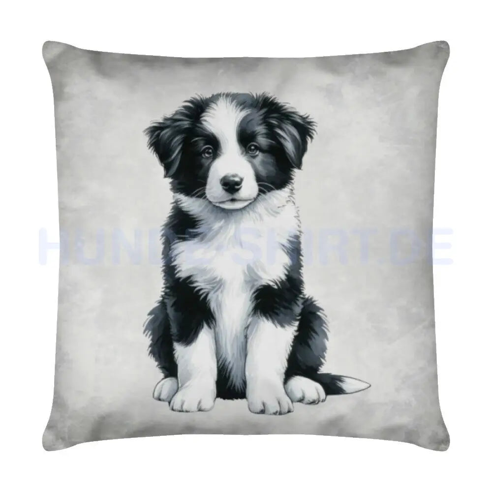 Kissen "Border Collie - Puppy" Weiß – hunde-shirt.de