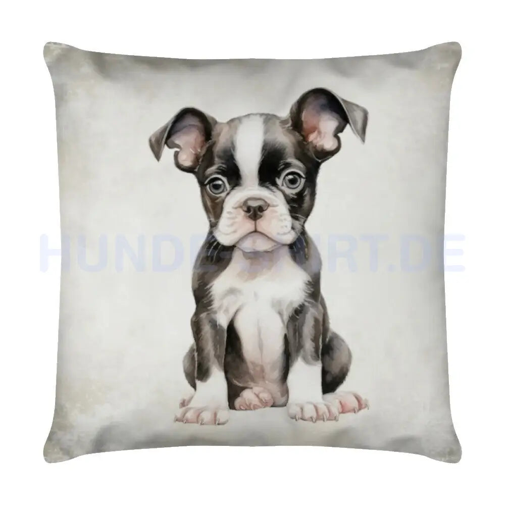 Kissen "Boston Terrier - Puppy" Weiß – hunde-shirt.de