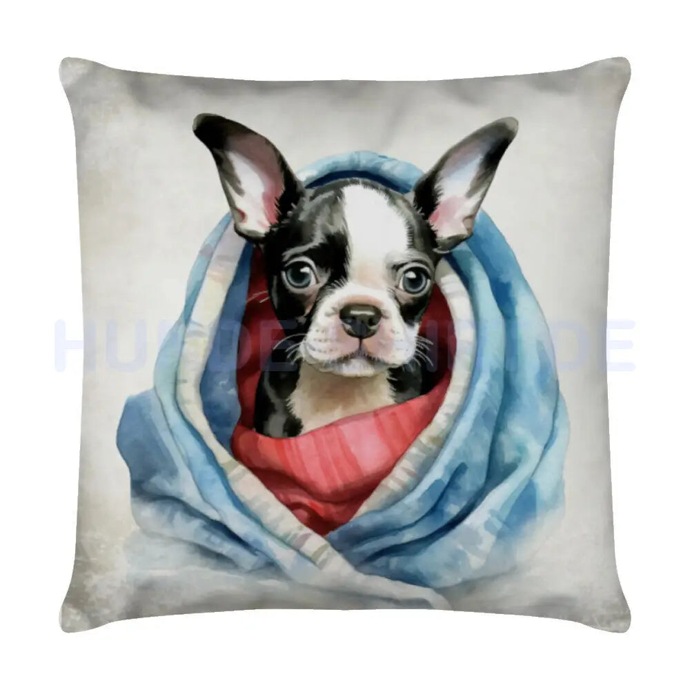 Kissen "Boston Terrier Puppy - Kuscheln" Weiß – hunde-shirt.de