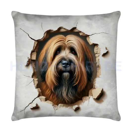 Kissen "Briard - Look" Weiß – hunde-shirt.de