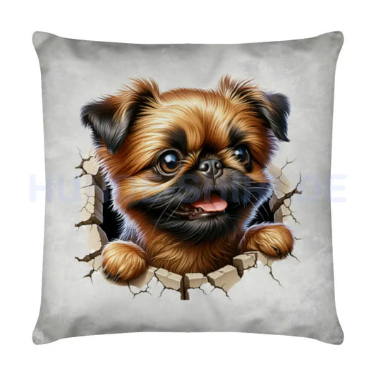 Kissen "Brüsseler Griffon - Look" Weiß – hunde-shirt.de